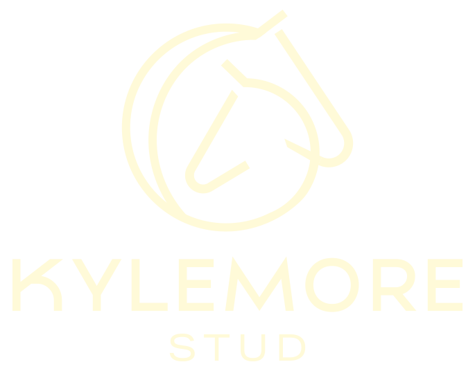 kylemore-stud-logo
